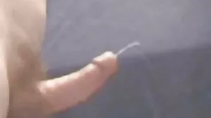 포니 테일