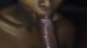 레베카