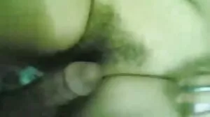 페넬로페 크로스