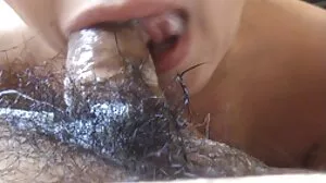 라 파이시타 공식