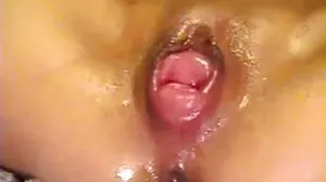 루나 토끼