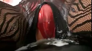 에이다